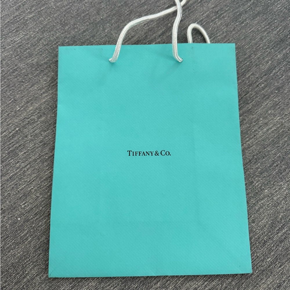 Tiffany & Co. Turquoise Gift Bag